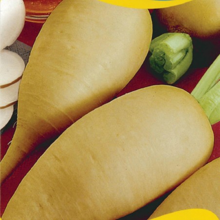 Semi di Ravanello Johns Day | Seeds Shop Store