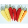 Sementes de pimenta doce Kalorez | Seeds Shop Store