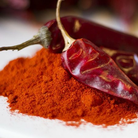 Szegedi 80 Paprikasamen | Seeds Shop Store