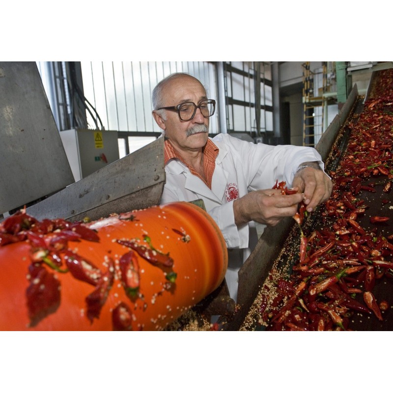 Szegedi 80 Paprikasamen | Seeds Shop Store