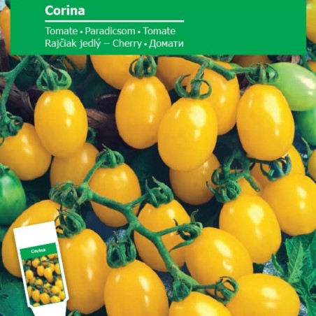 Corina tomato seeds | Seeds Shop Store