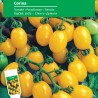 Corina tomato seeds | Seeds Shop Store