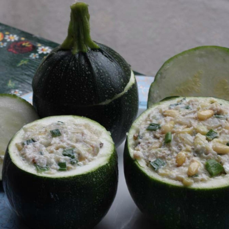 Semi di zucchine Tondo di Piacenza | Seeds Shop Store