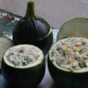 Semi di zucchine Tondo di Piacenza | Seeds Shop Store
