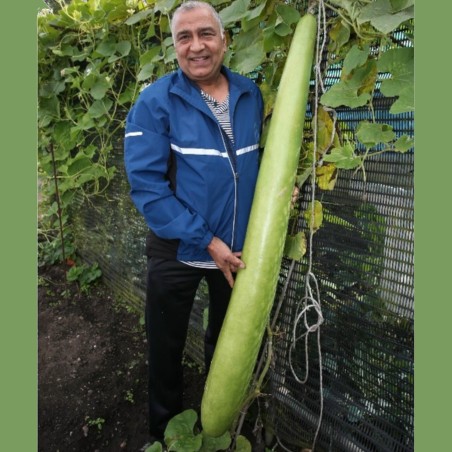 Long Bottle Gourd Seeds | Seeds Shop Store
