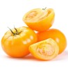 Yellowstone Tomatensamen | Seeds Shop Store