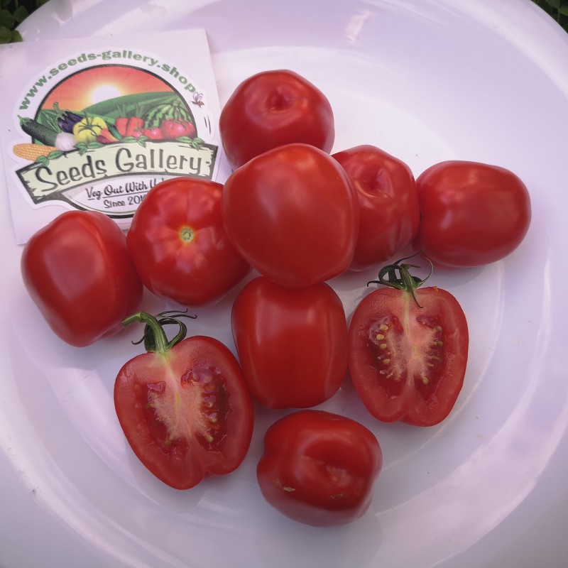 Apfel Tomatensamen | Seeds Shop Store