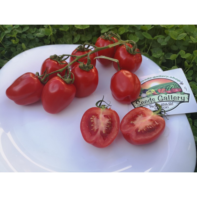 Apfel Tomatensamen | Seeds Shop Store