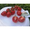 Apfel Tomatensamen | Seeds Shop Store