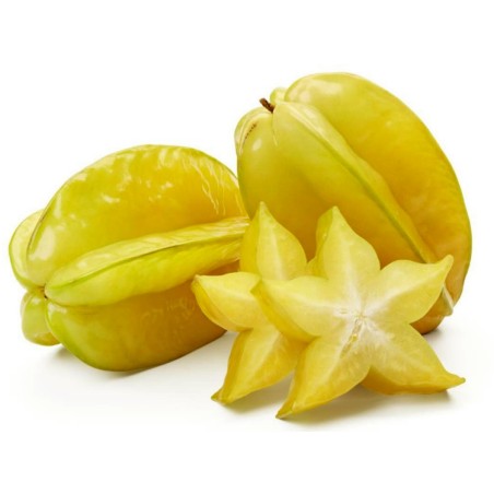 "Stjärnfrukt" Frön Averrhoa Carambola Tropical | Seeds Shop Store