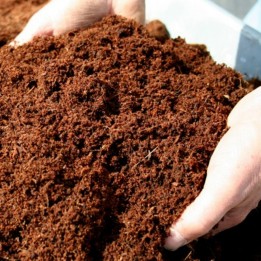 100% Organic Coconut Coir, Coconut Peat, Highest Quality 0,5 liter - 5.4