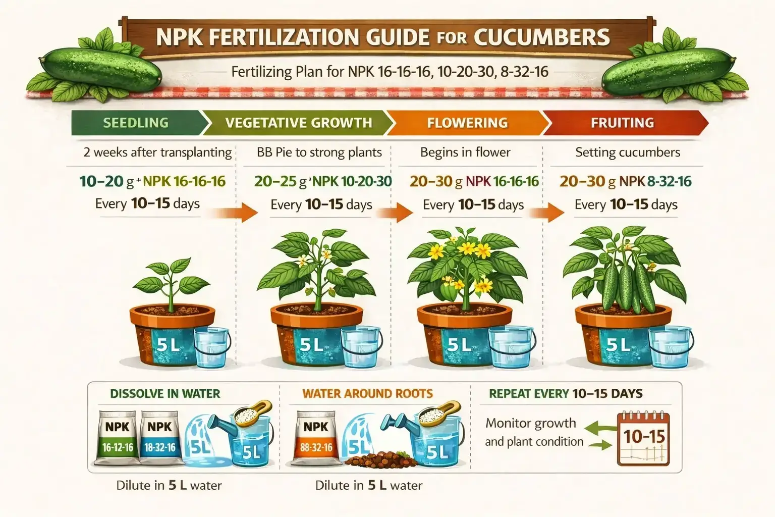 How to fertilize cucumber plants with NPK fertilizer feeding guide