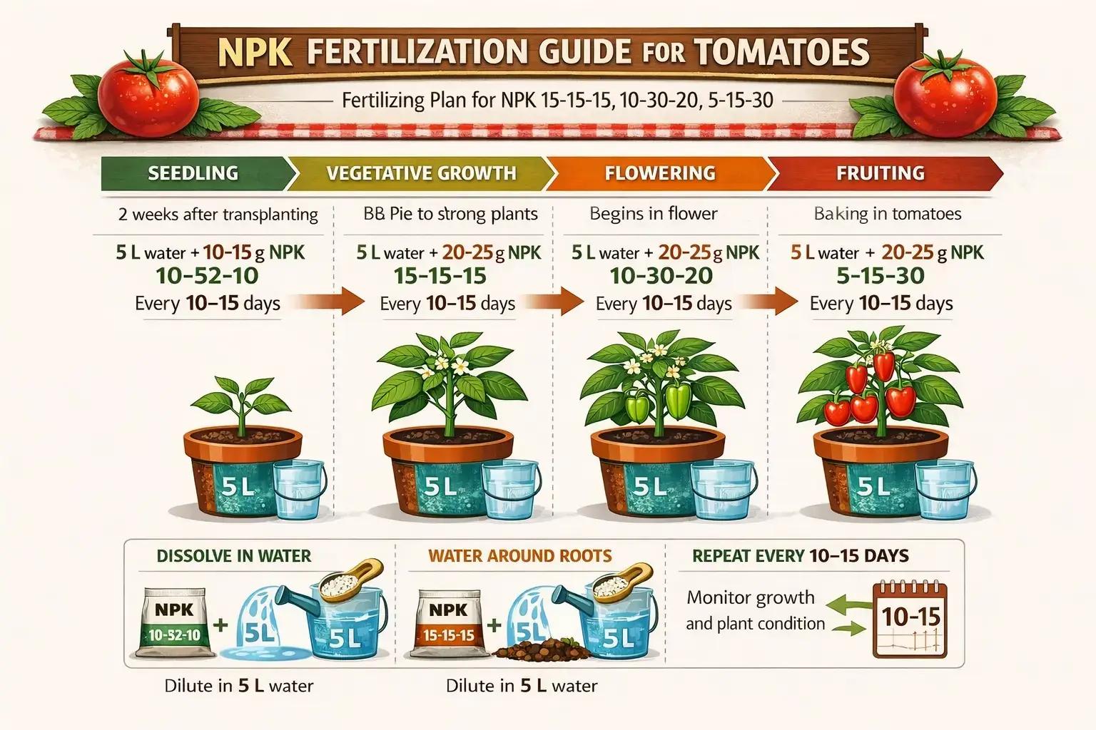 Tomato fertilizing with NPK fertilizer How to fertilize tomato plants with NPK fertilizer – tomato feeding guide