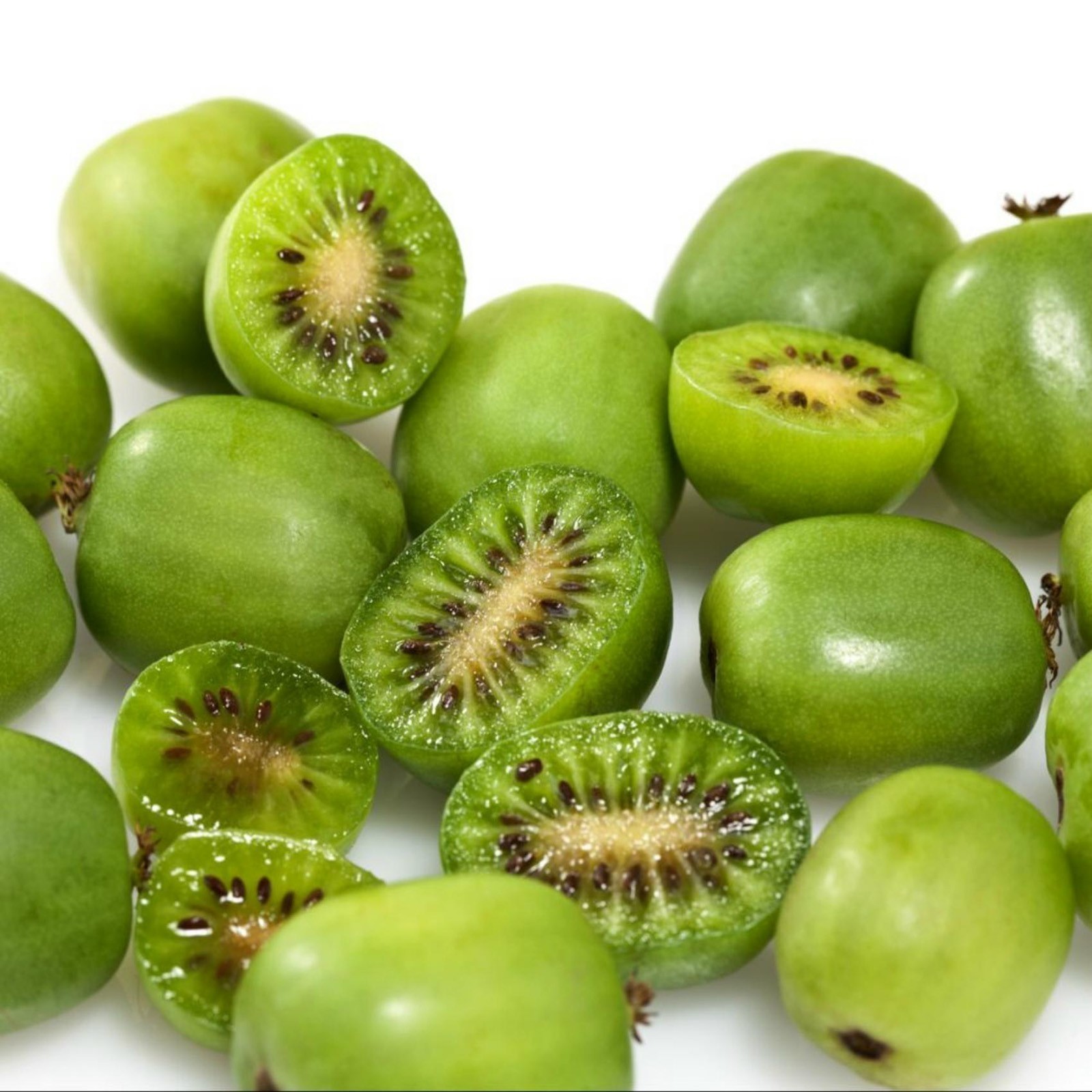 Hardy Kiwi seeds -34C (actinidia arguta) | Heirloom, organic